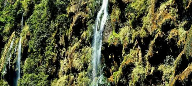 九游-自行车巡回赛，漓江海豚队与云贵铁骑队淘汰对手，阵地战处理得当！教练团队居功至伟的简单介绍