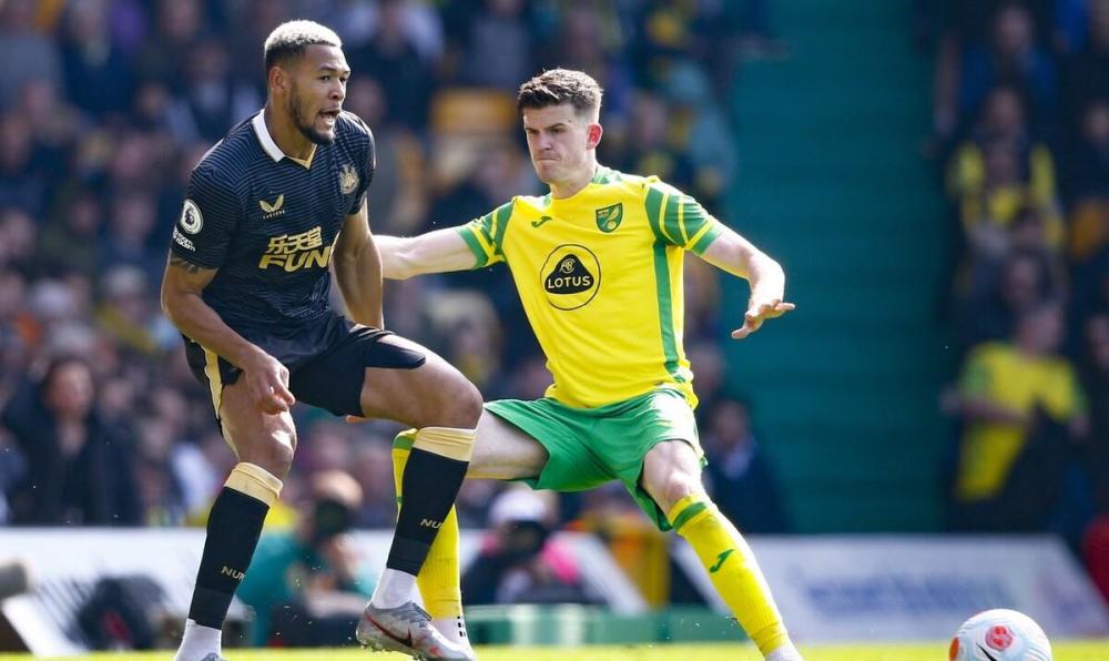 拳击夜战：泰山灰熊队大胜瓯越貔貅队，临门一脚致胜保级形势悄然变化的简单介绍